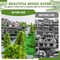 Garden Landscape Model Dark Green Pine Tree Model Scene Accessory for Making Architecture Sand Table and Station Platform Model